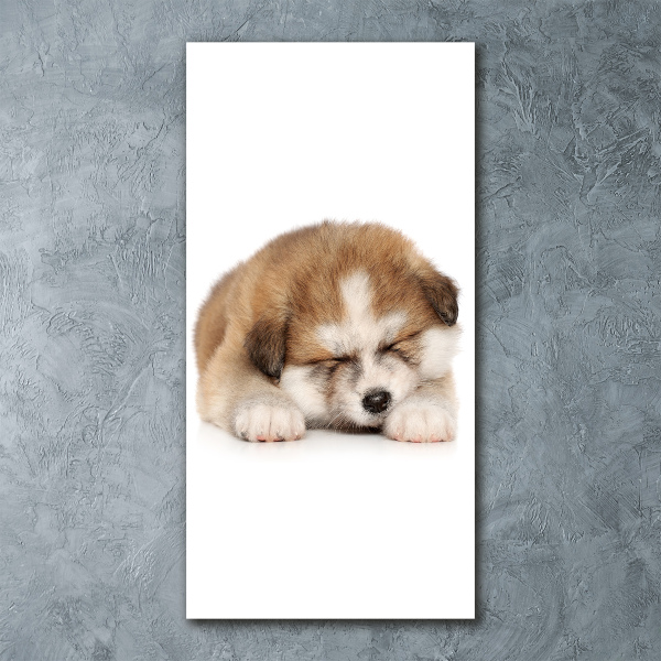Staand foto op plexiglas Akita-puppy