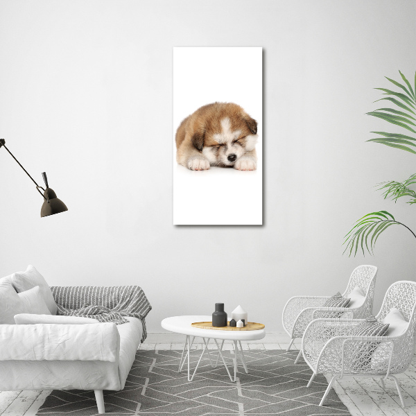 Staand foto op plexiglas Akita-puppy