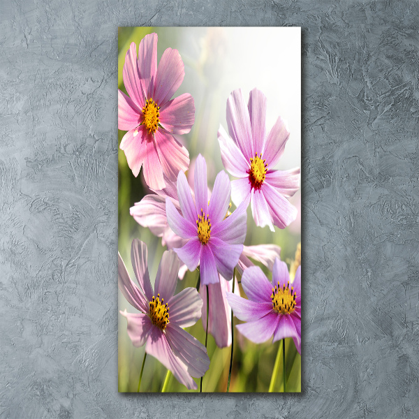 Staand plexiglas foto Wilde bloemen