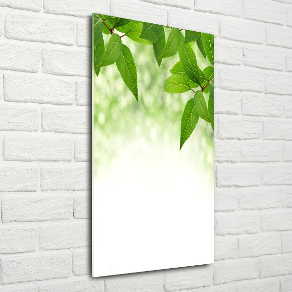 Staand foto op plexiglas Groene bladeren