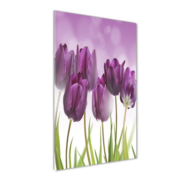 Staand plexiglas foto Paarse tulpen