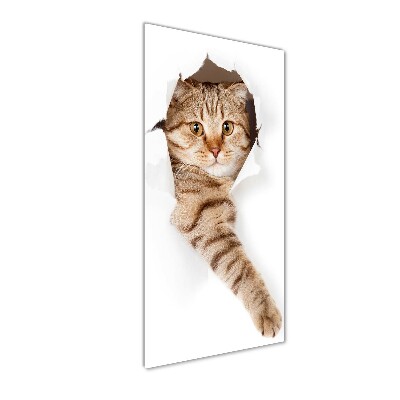 Staand foto in plexiglas Kat