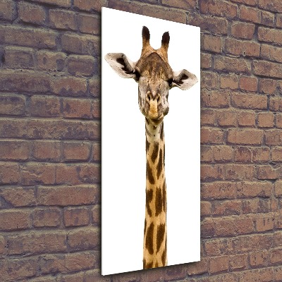 Staand foto op plexiglas Giraffe
