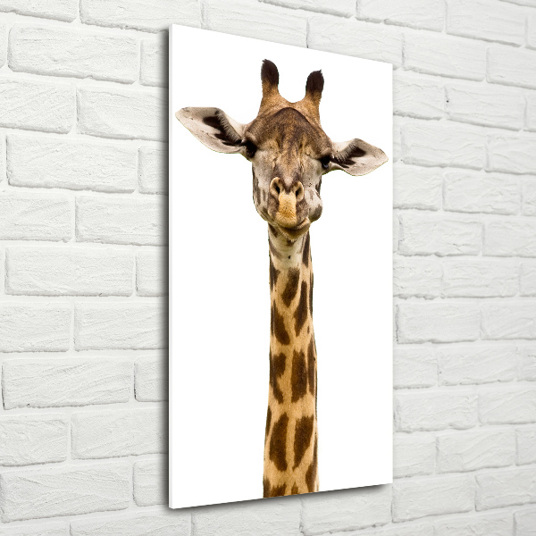 Staand foto op plexiglas Giraffe