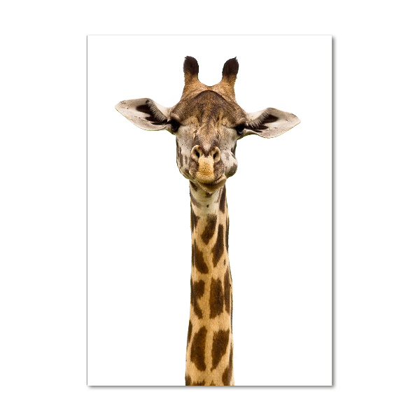 Staand foto op plexiglas Giraffe