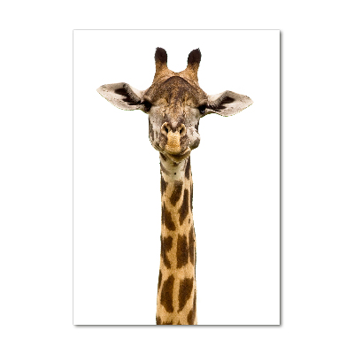 Staand foto op plexiglas Giraffe