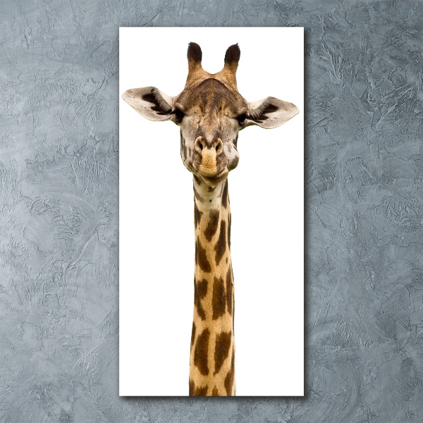 Staand foto op plexiglas Giraffe