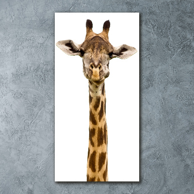 Staand foto op plexiglas Giraffe