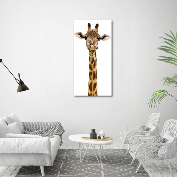 Staand foto op plexiglas Giraffe
