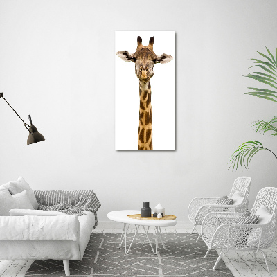 Staand foto op plexiglas Giraffe