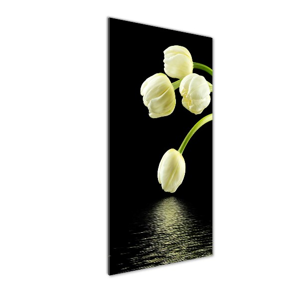 Staand foto plexiglas Witte tulpen