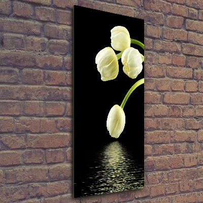 Staand foto plexiglas Witte tulpen
