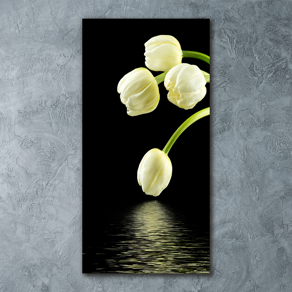 Staand foto plexiglas Witte tulpen