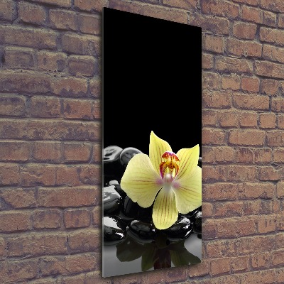 Staand foto in plexiglas Orchidee en stenen