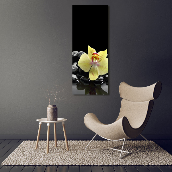 Staand foto in plexiglas Orchidee en stenen