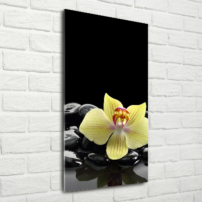 Staand foto in plexiglas Orchidee en stenen