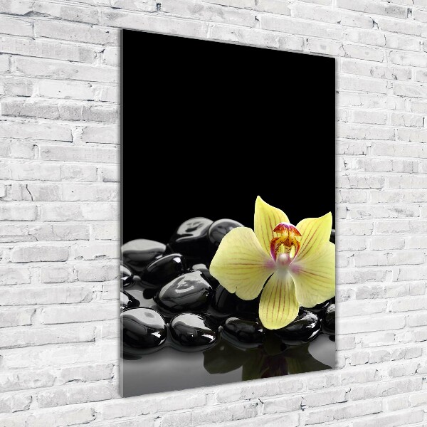 Staand foto in plexiglas Orchidee en stenen