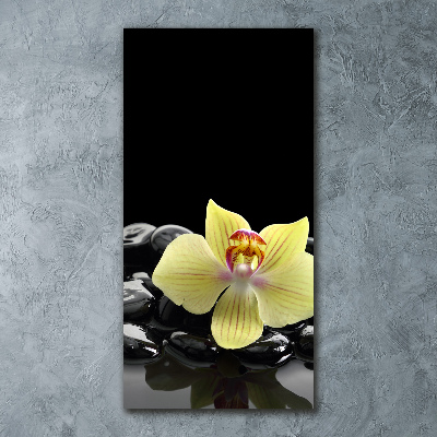 Staand foto in plexiglas Orchidee en stenen