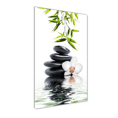 Staand plexiglas foto Orchidee en stenen