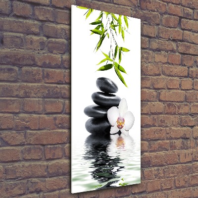 Staand plexiglas foto Orchidee en stenen