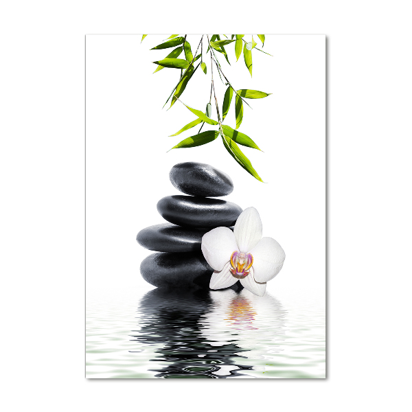 Staand plexiglas foto Orchidee en stenen