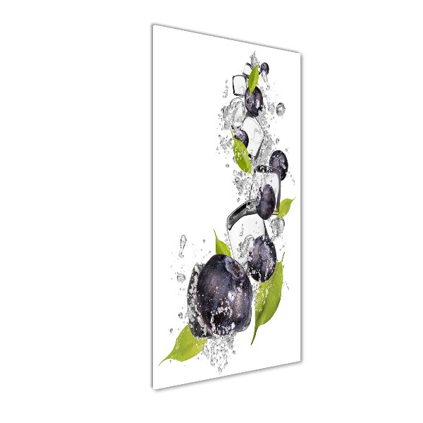 Staand foto op plexiglas Bessen en ijs