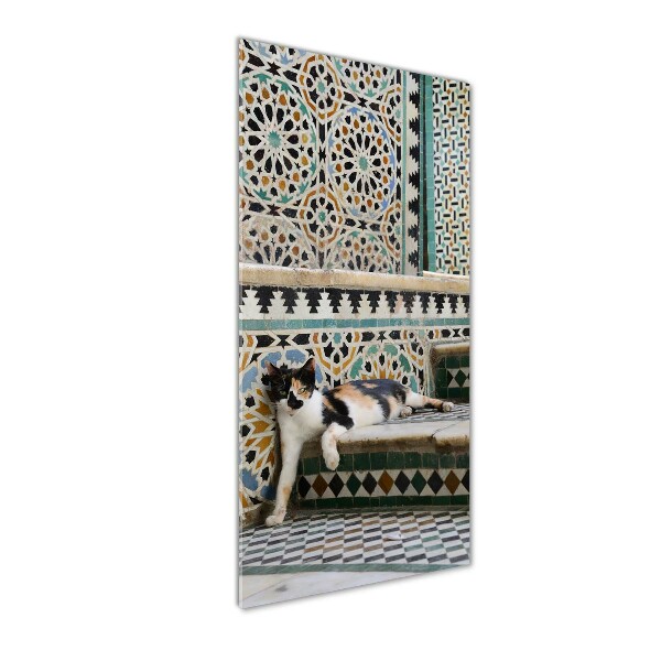 Staand plexiglas foto Een kat in Marokko