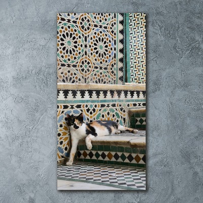 Staand plexiglas foto Een kat in Marokko