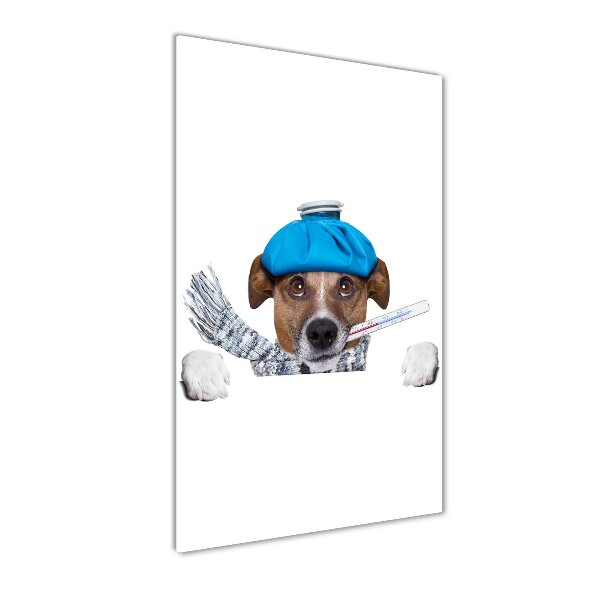 Staand plexiglas foto Zieke hond