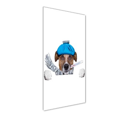 Staand plexiglas foto Zieke hond