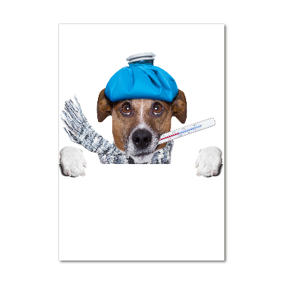 Staand plexiglas foto Zieke hond