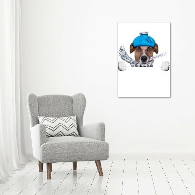 Staand plexiglas foto Zieke hond