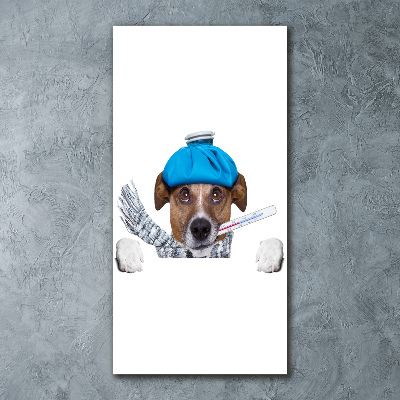 Staand plexiglas foto Zieke hond