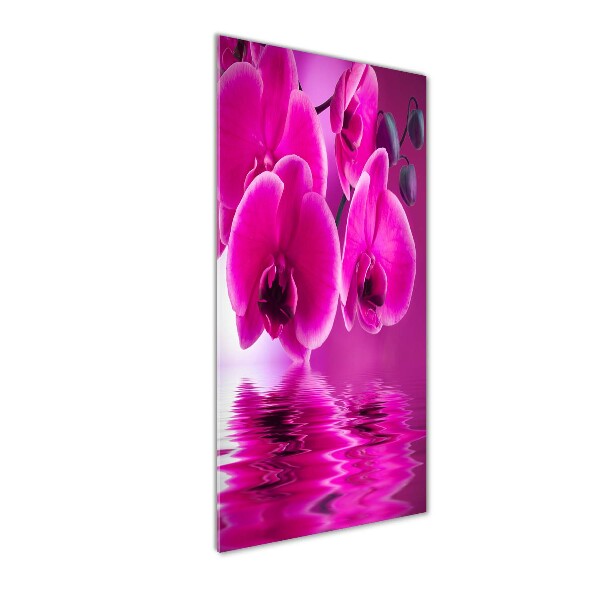 Staand foto op plexiglas Roze orchidee
