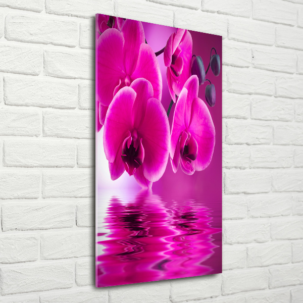 Staand foto op plexiglas Roze orchidee