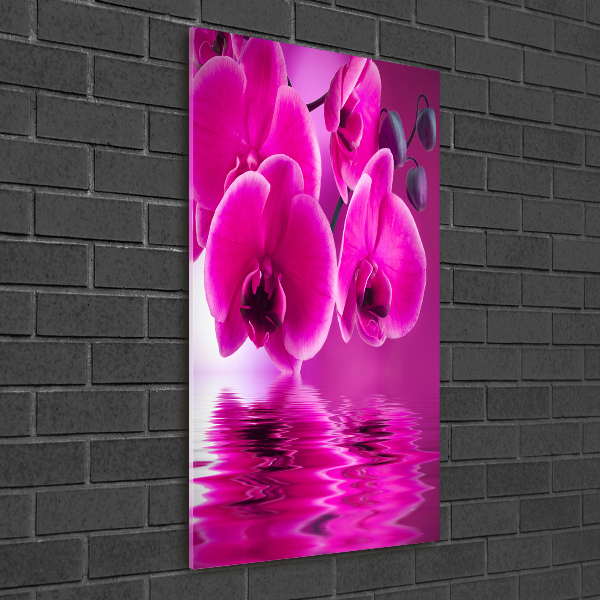 Staand foto op plexiglas Roze orchidee