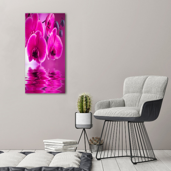 Staand foto op plexiglas Roze orchidee
