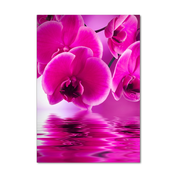 Staand foto op plexiglas Roze orchidee