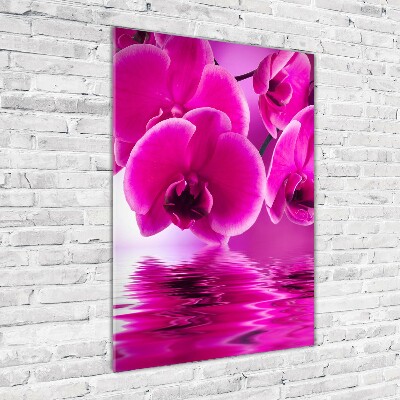 Staand foto op plexiglas Roze orchidee