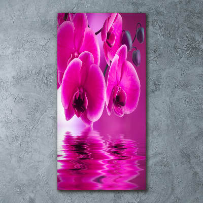 Staand foto op plexiglas Roze orchidee
