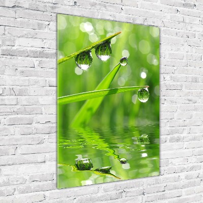 Staand foto op plexiglas grassprieten