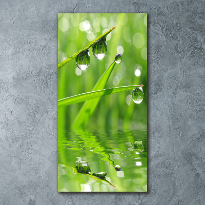 Staand foto op plexiglas grassprieten