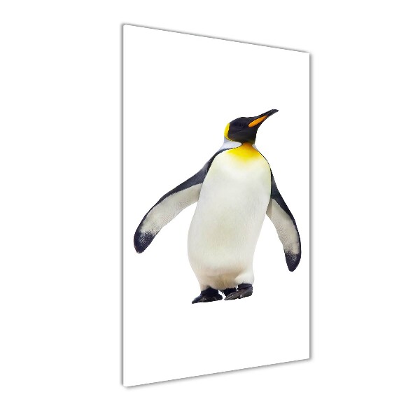 Staand foto plexiglas Pinguïn