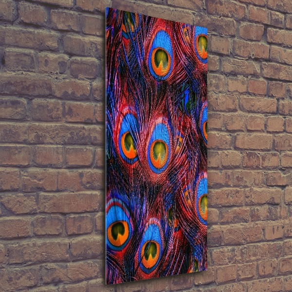 Staand foto plexiglas Pauwenveren