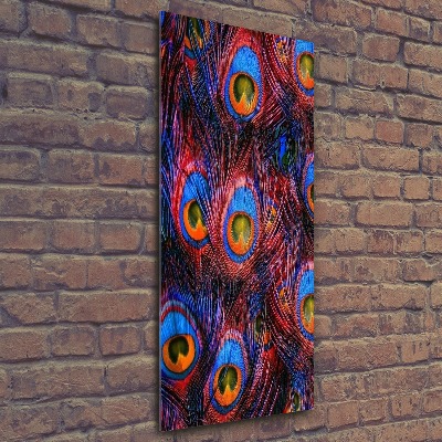 Staand foto plexiglas Pauwenveren