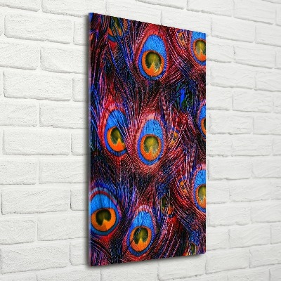 Staand foto plexiglas Pauwenveren