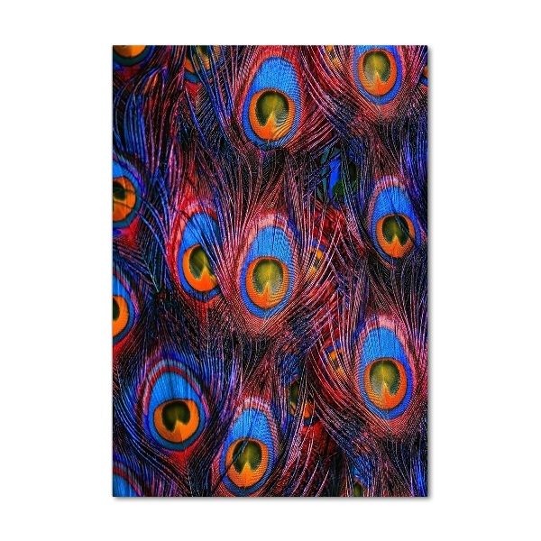 Staand foto plexiglas Pauwenveren