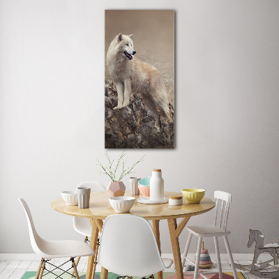 Staand foto in plexiglas Wolf op een rots