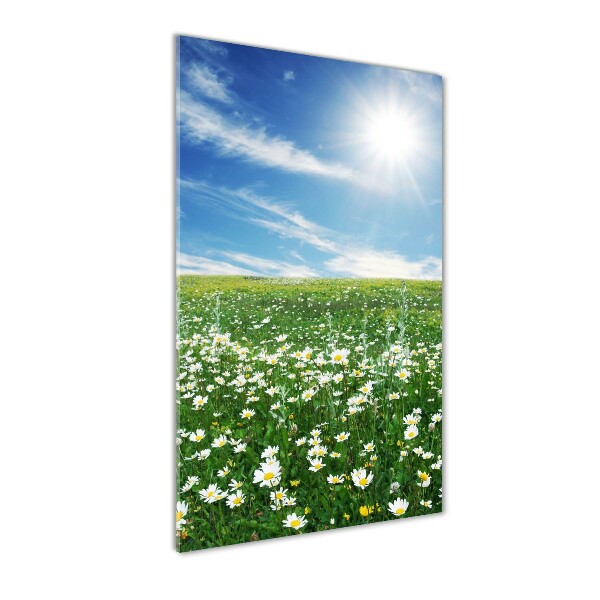 Staand foto op plexiglas Wei