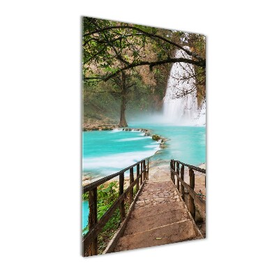 Staand foto plexiglas Waterval in Mexico
